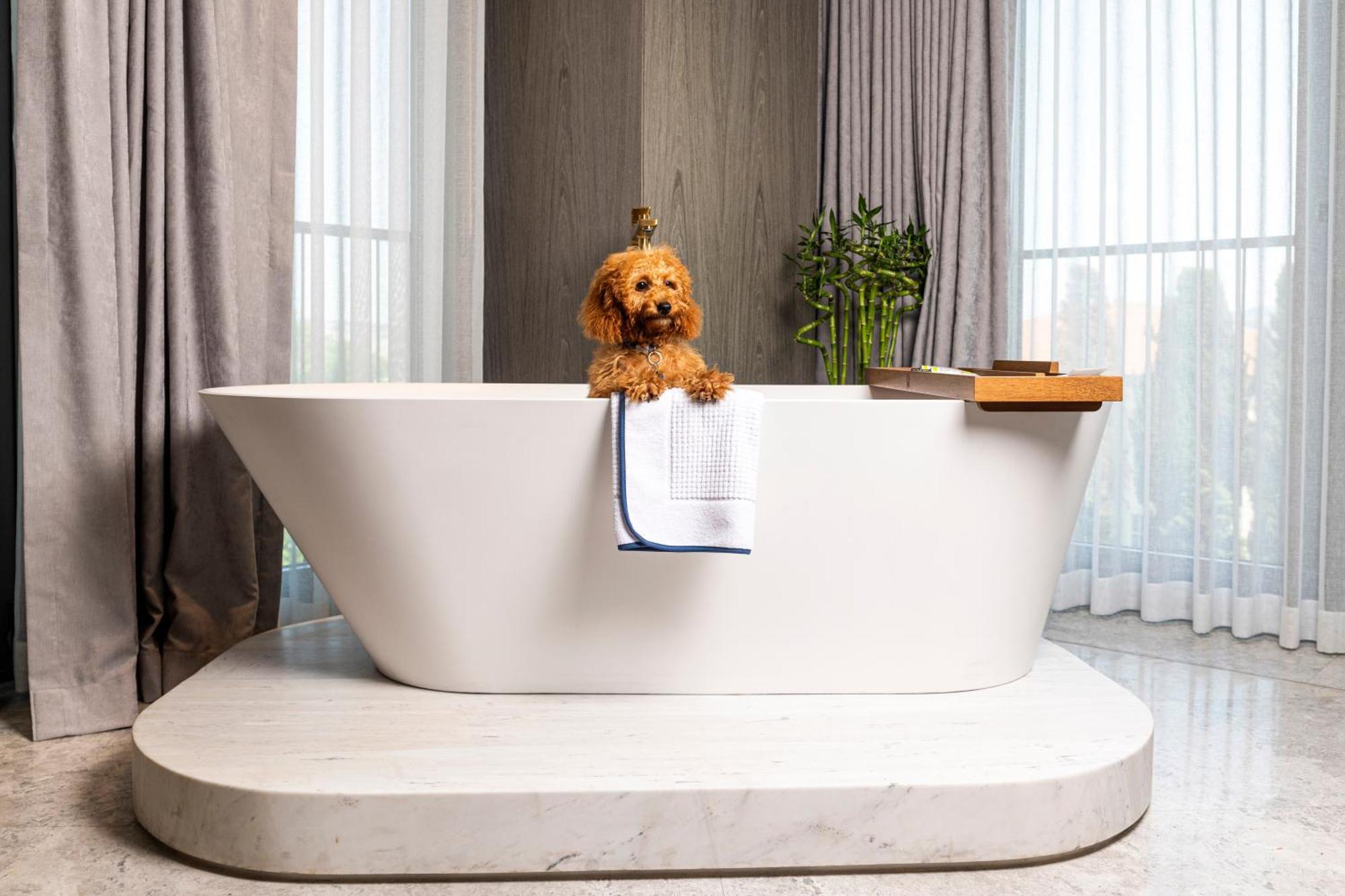 The Maestro Hotel Istanbul Bagian luar foto